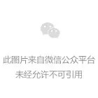 支架设置 支架设置